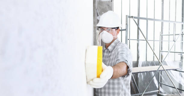 Best Basement Mold Removal in Amelia, OH